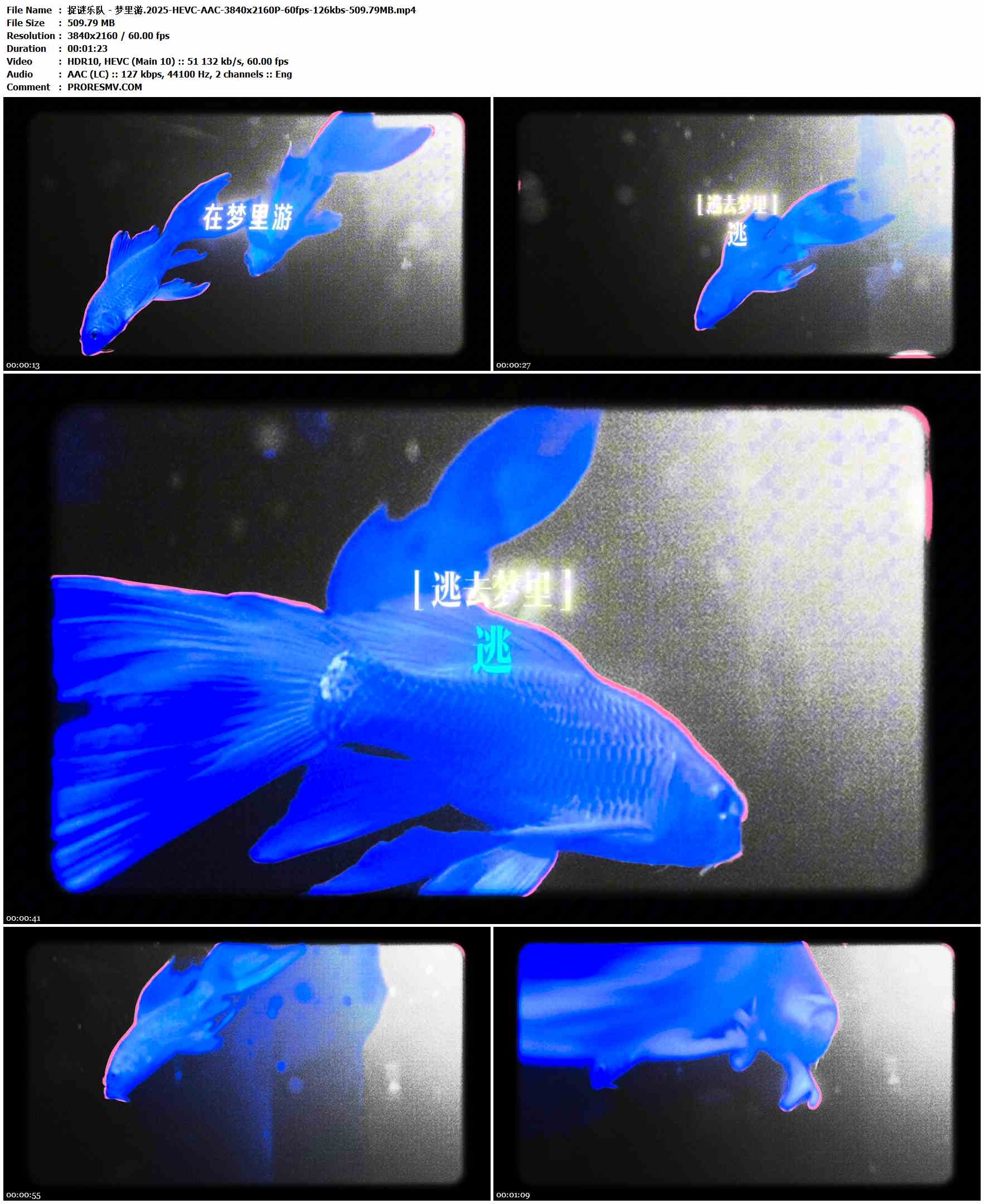 捉谜乐队 - 梦里游.2025-HEVC-AAC-3840x2160P-60fps-126kbs-509.79MB官方MV_高清MV